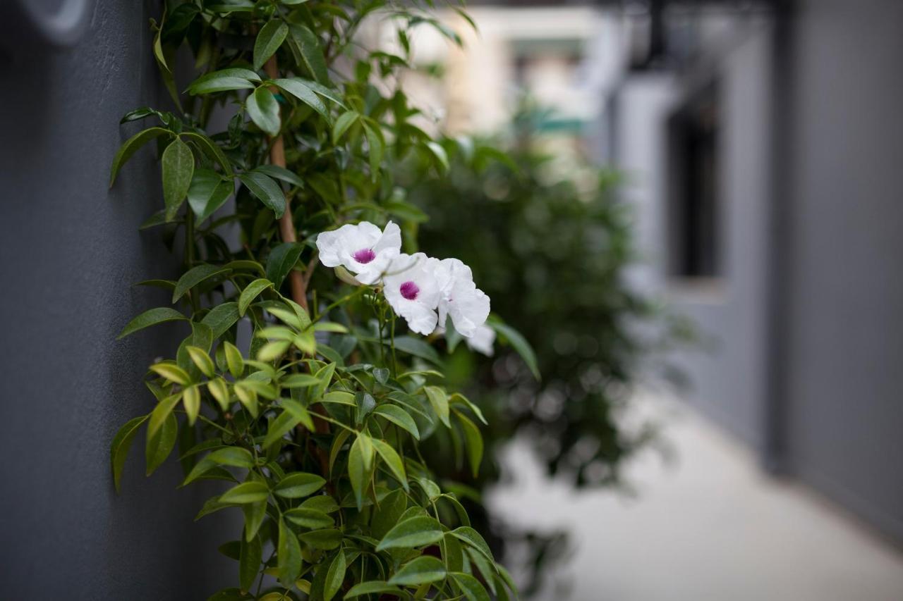 Spacious Flat With Courtyard And Private Parking! Афины Экстерьер фото